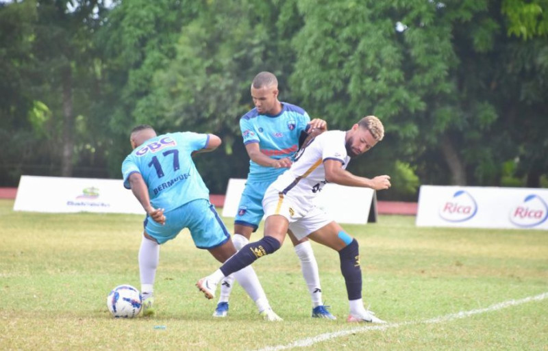 Salcedo, Cibao y Delfines dominan anotaciones de la LDF